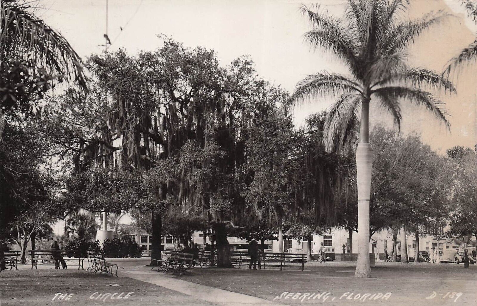 RPPC Sebring FL Florida The Circle Park Downtown Highlands Photo Postcard E23