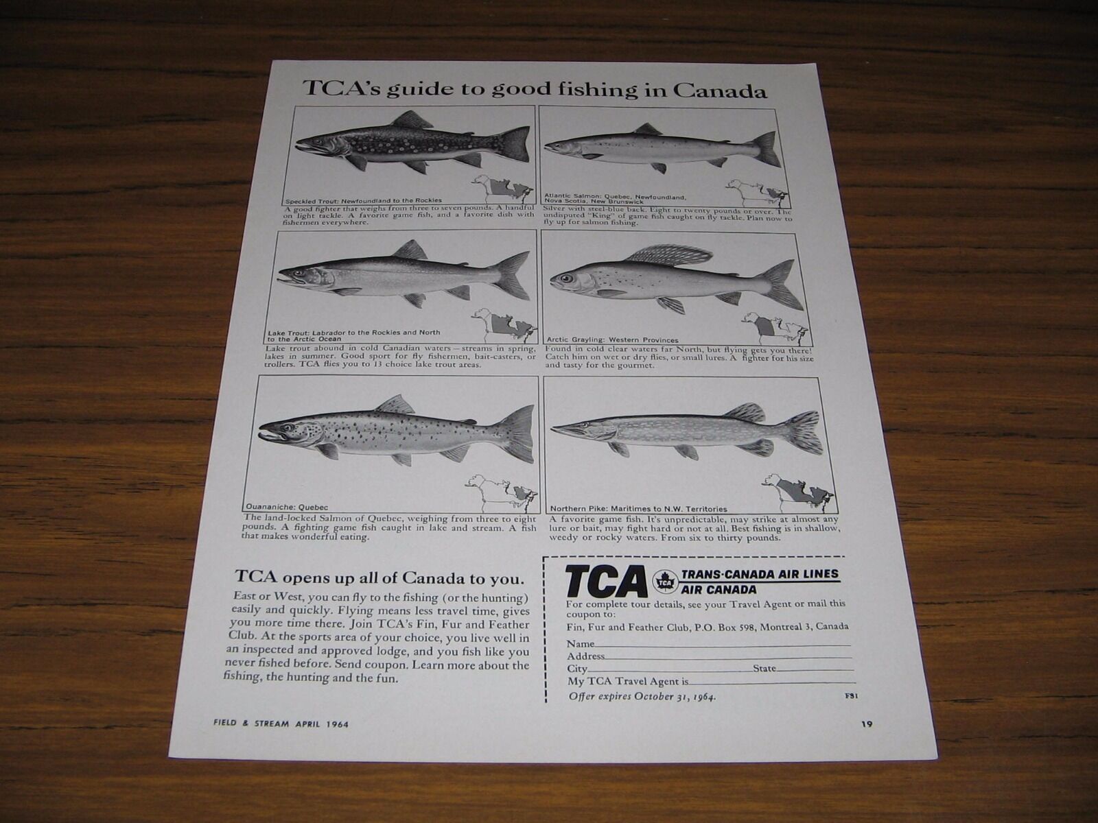 1964 Print Ad Trans-Canada Airlines Guide to Good Fishing 6 Fish Shown