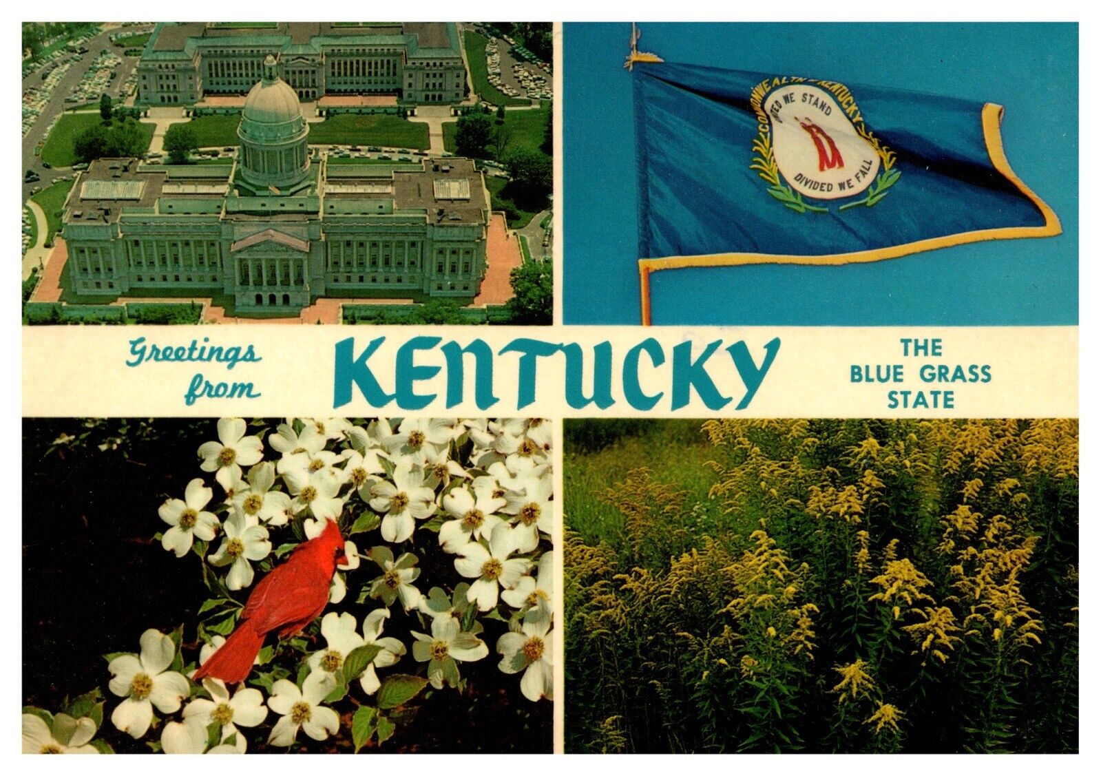 Kentucky State Capitol Aerial View Multi View Blue Grass State Chrome Postcard
