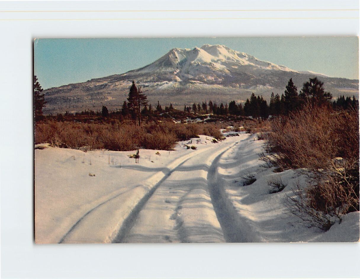 Postcard Mount Shasta, California