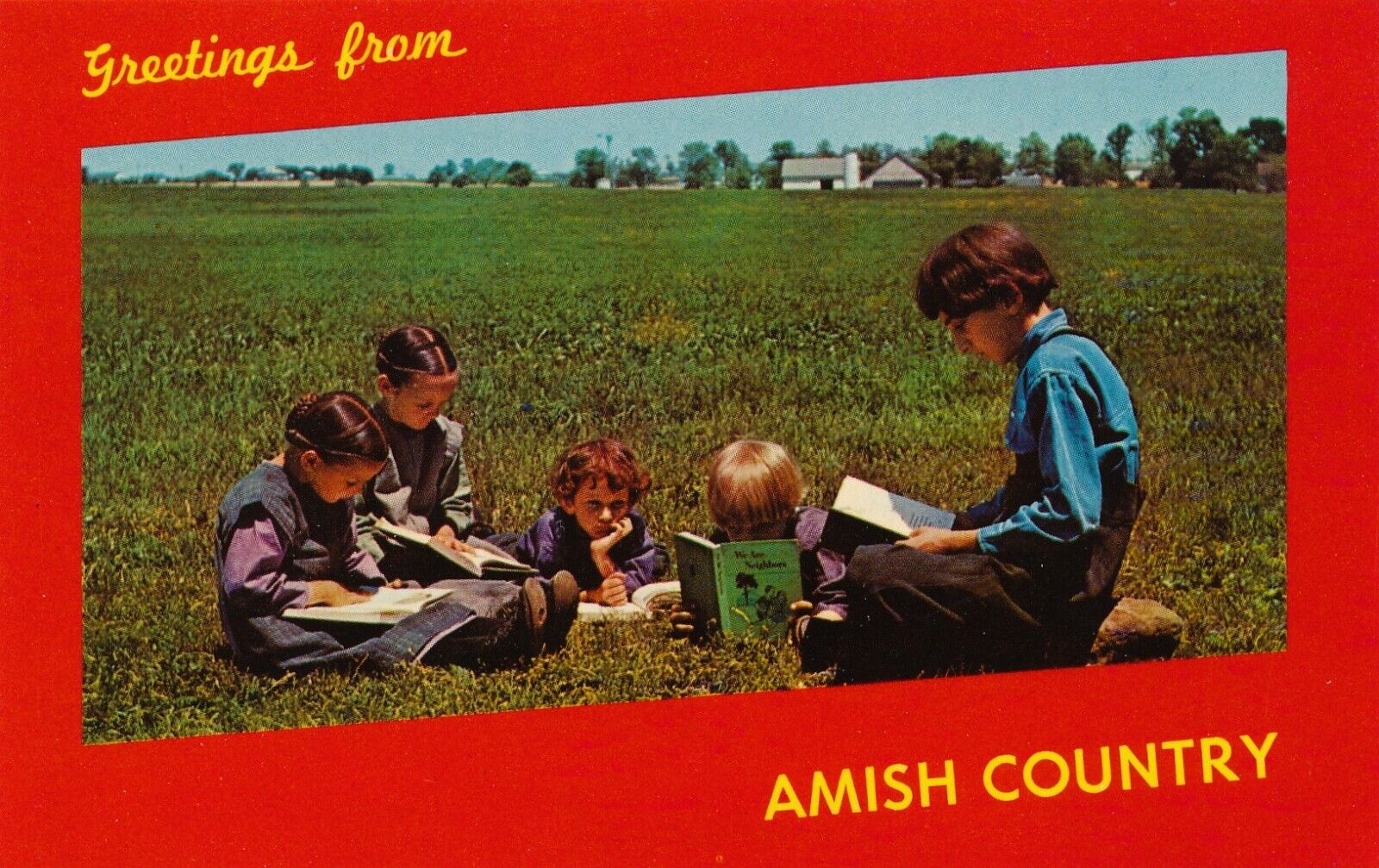 Greetings from Amish Country Children in Pennsylvania vintage unposted postcard
