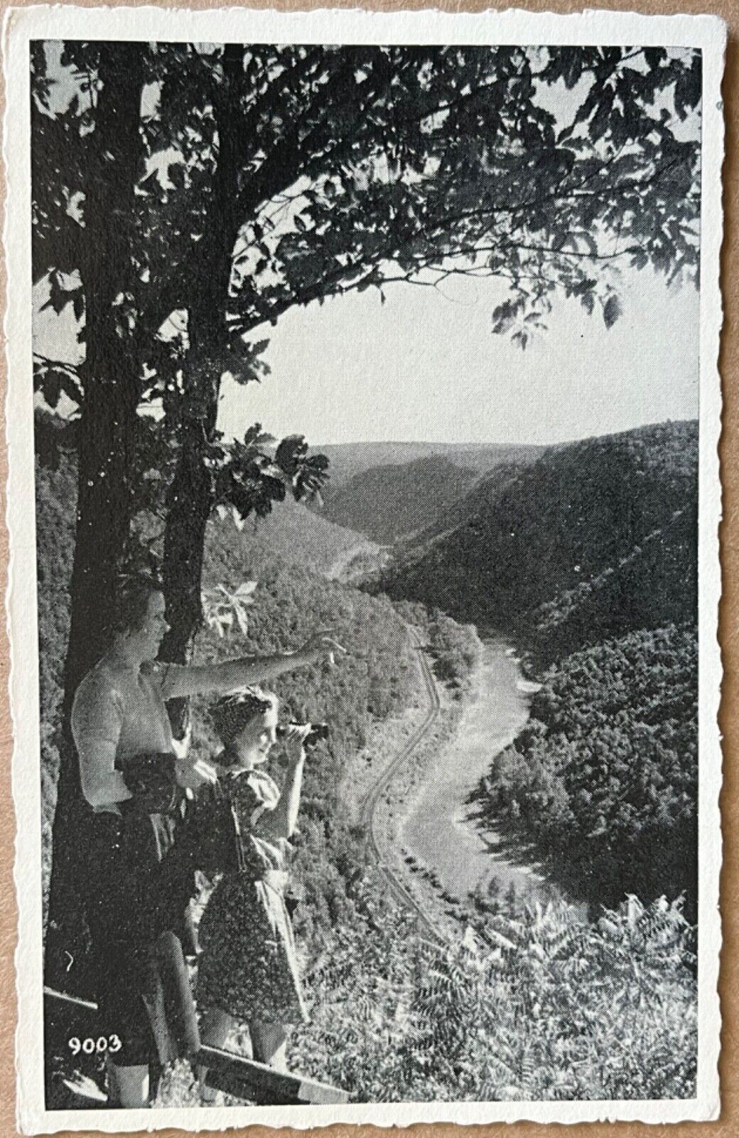 Pennsylvania Harrison State Park Women at Horseshoe Curve Postcard c1930