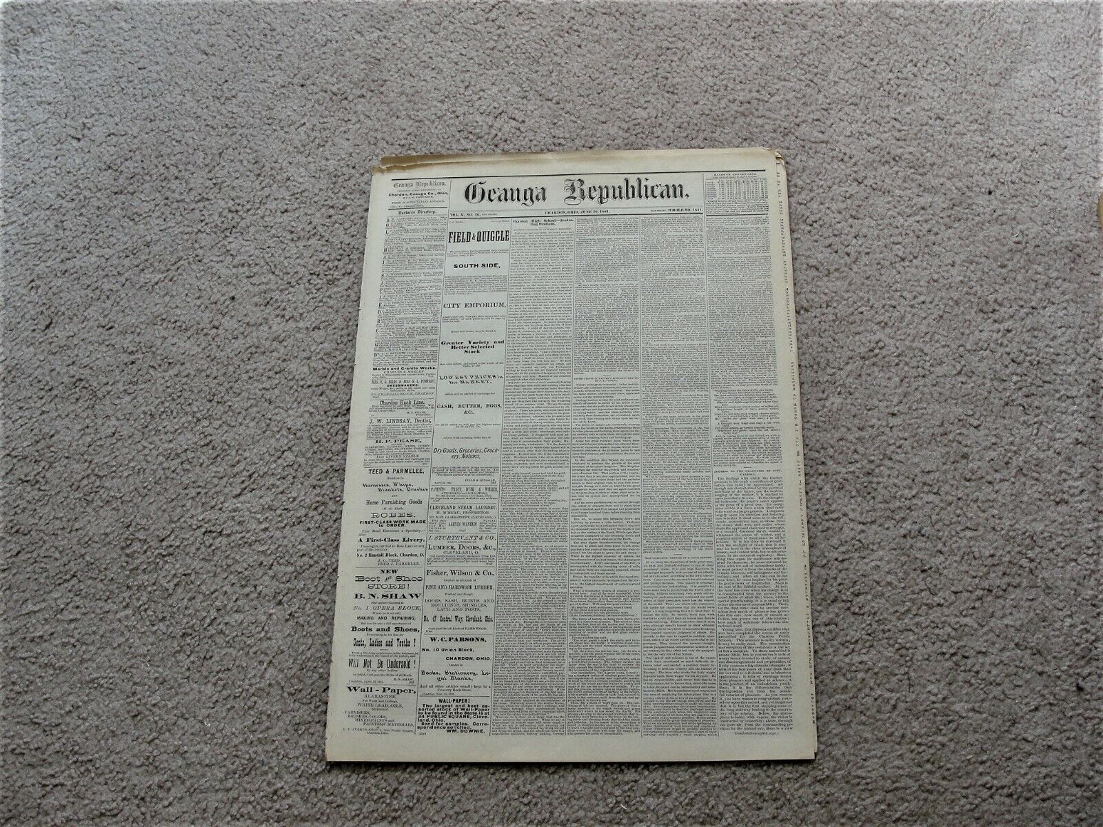 Geauga Republican, Wednesday, June 29, 1881- Chardon, Ohio Newspaper. 