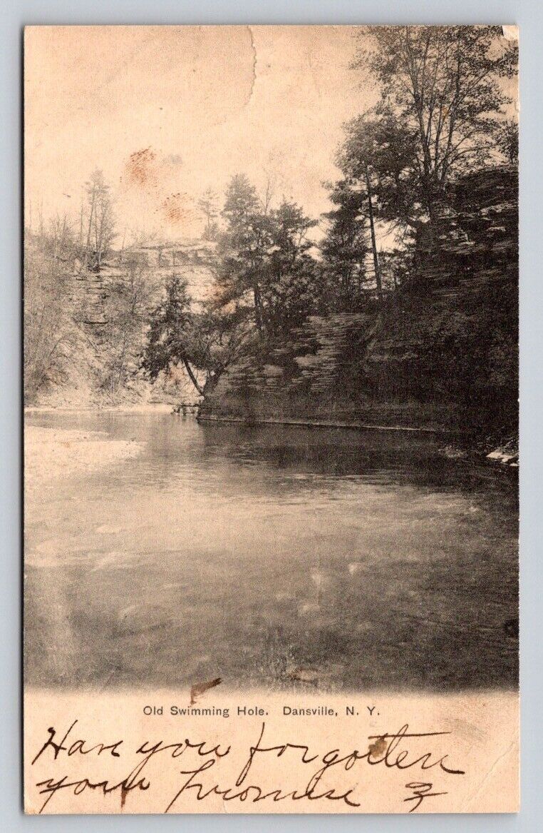c1905 Old Swimming Hole Dansville New York P637