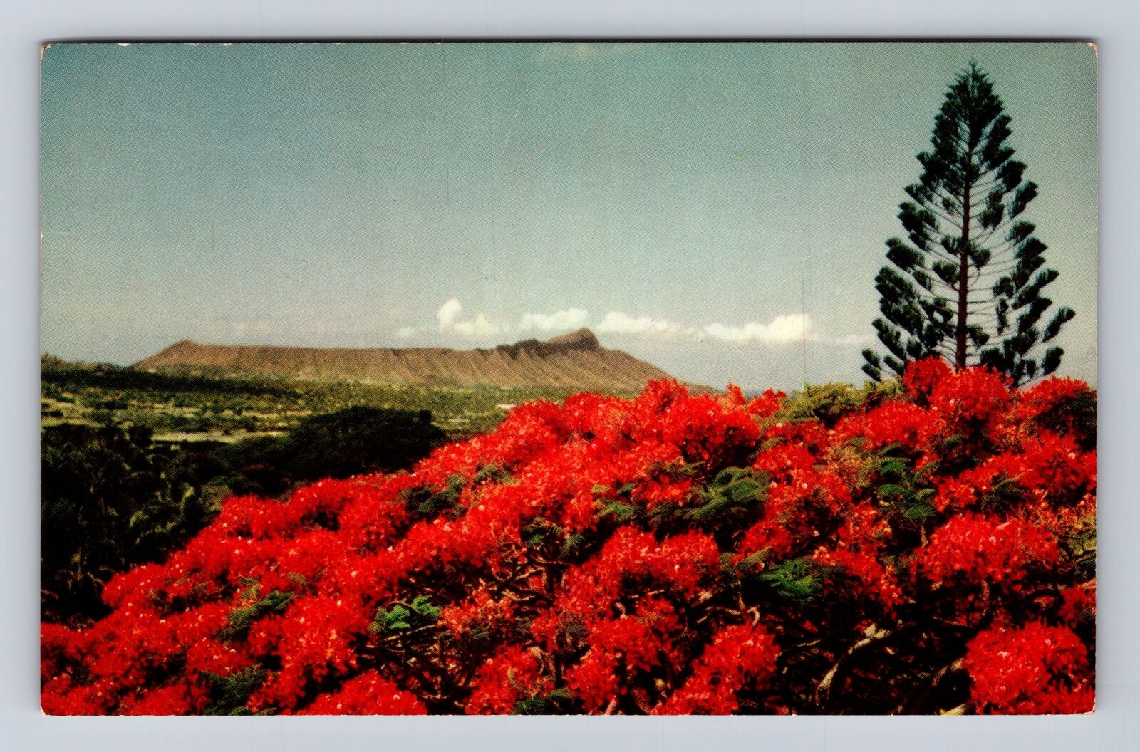 Diamond Head HI-Hawaii, Scenic View, Vintage c1956 Souvenir Postcard