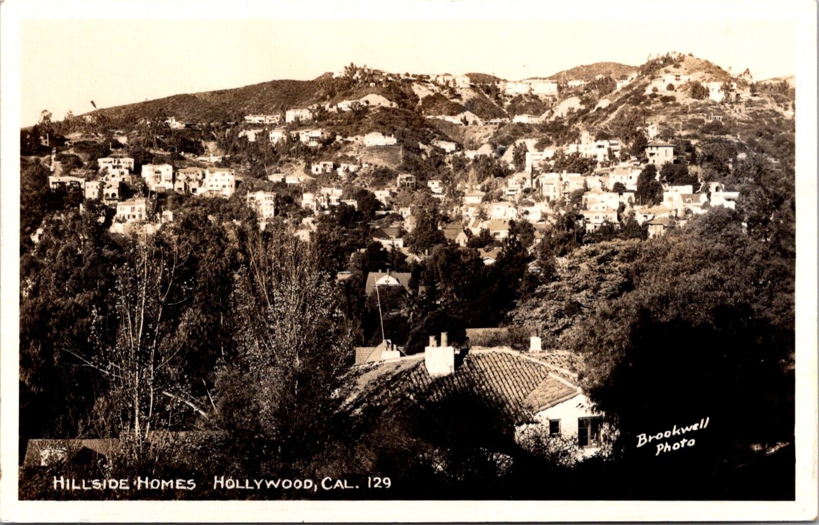 Real Photo Postcard Hillside Homes in Hollywood, California
