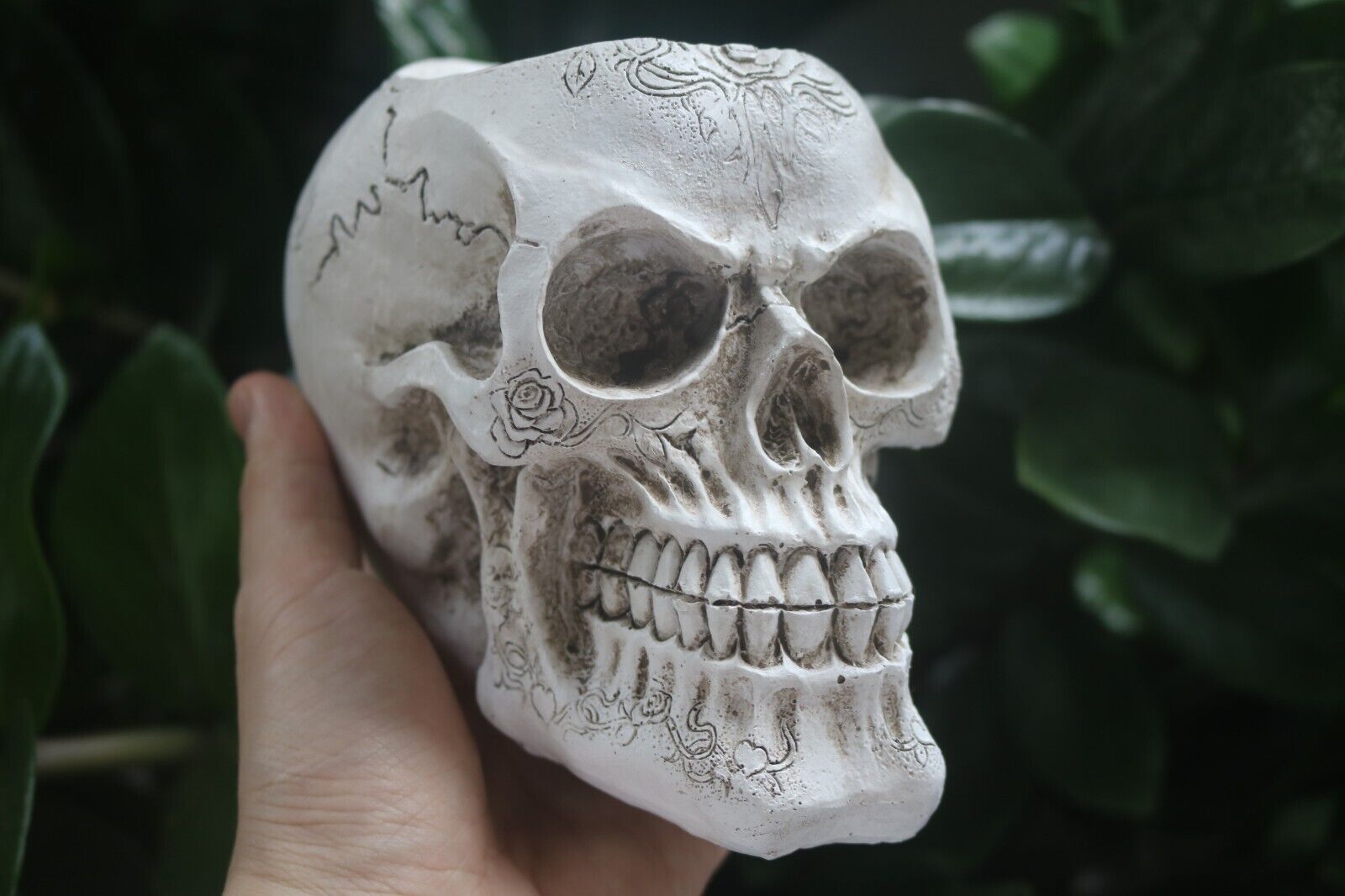 Halloween Hot Pick: White Skull Resin Flower Pot - Spooky Elegance