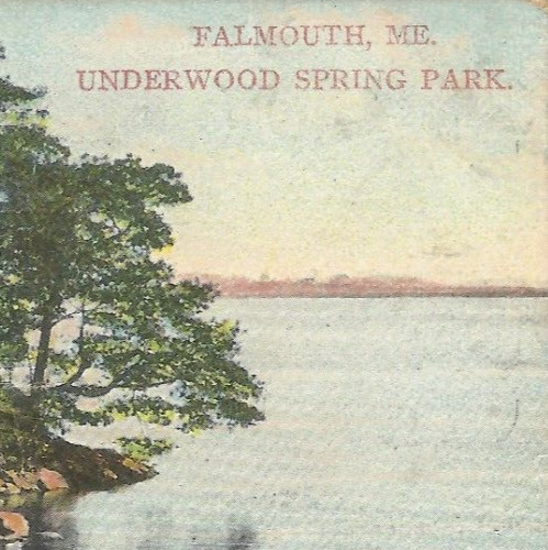 Postcard ME Falmouth Underwood Spring Park, 1900s Lake Shore Trees Germany, VTG
