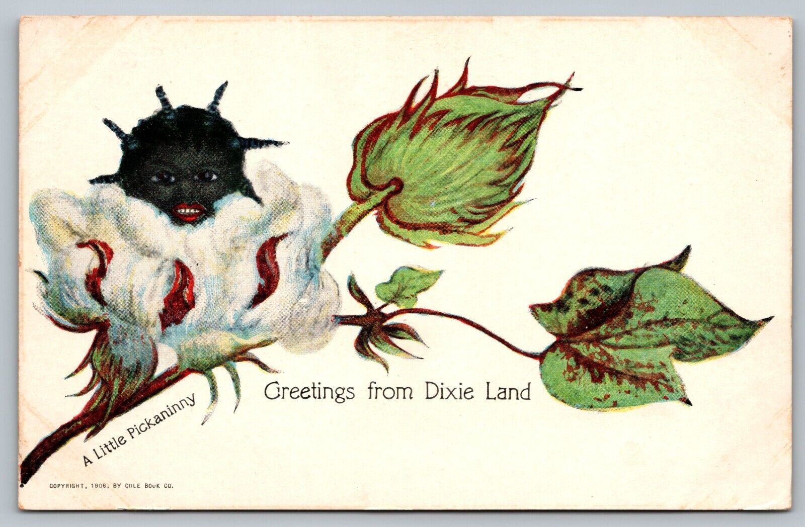 Postcard Greetings From Dixie Land  Black Girl Cotton History Americana c 1906