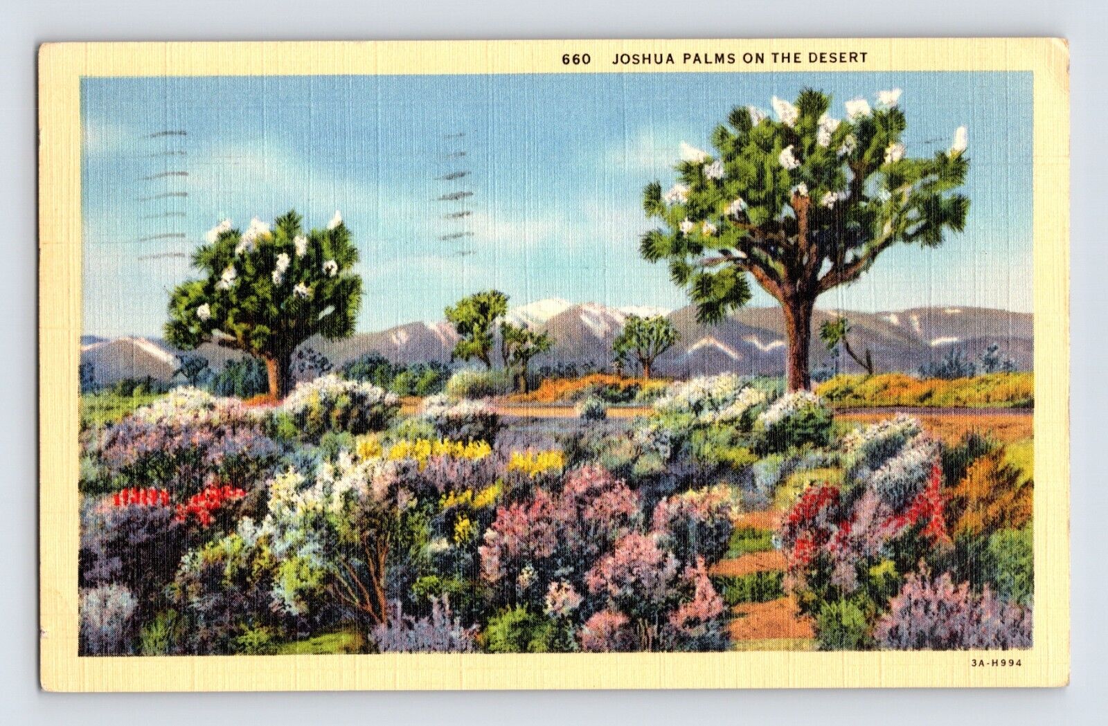 Postcard Joshua Tree Palms Flower Desert 1940 Posted Linen Oceanside CA