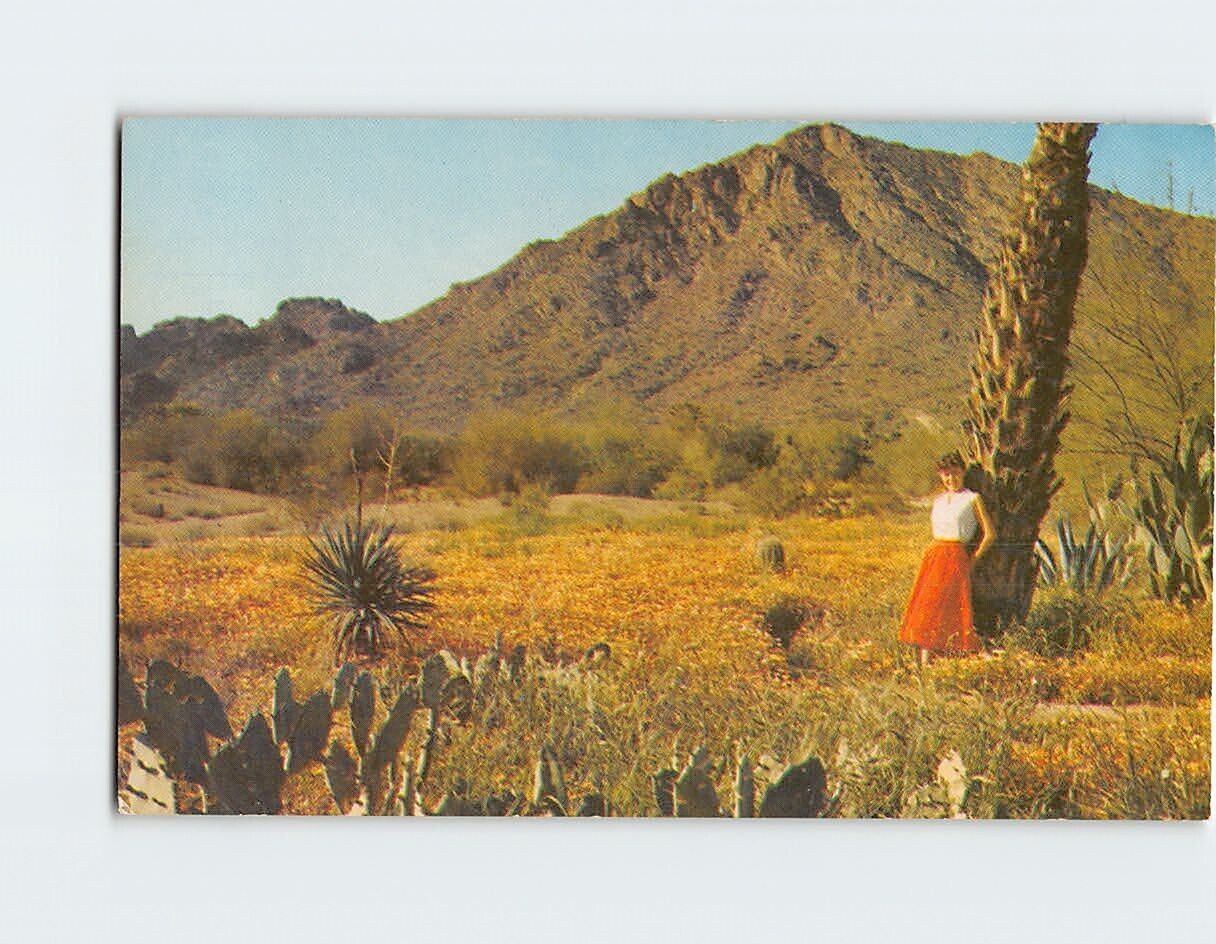 Postcard Desert Scene Woman Posing for the Photo