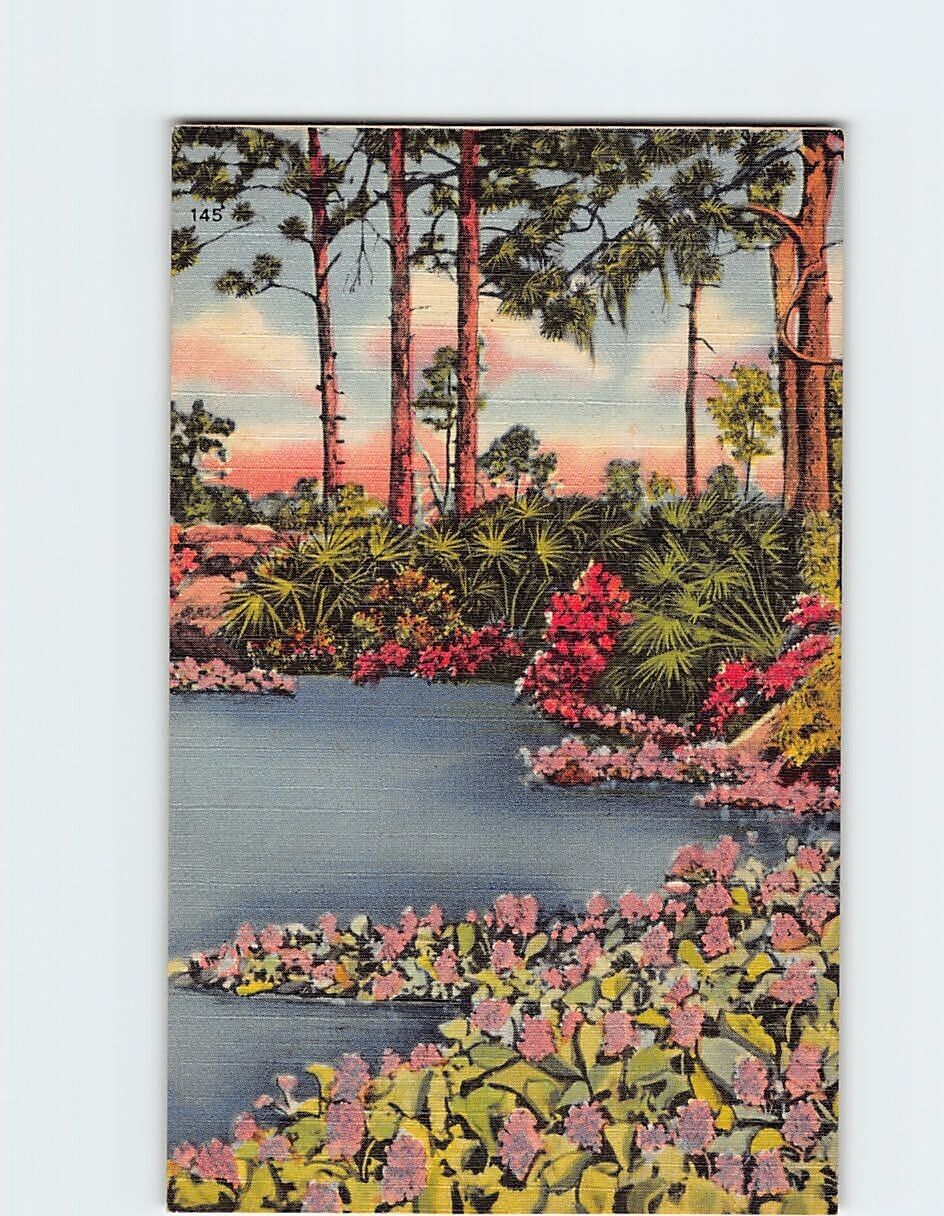 Postcard Beautiful Hyacinth Pool Florida USA