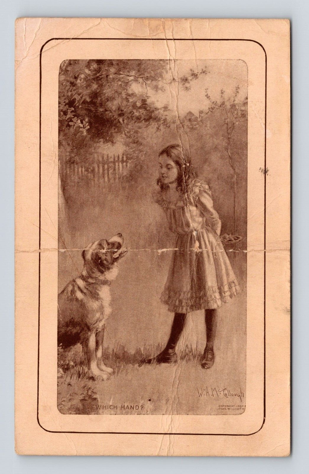 Antique Postcard Little Girl Playing w/ Dog William McCullough 1905