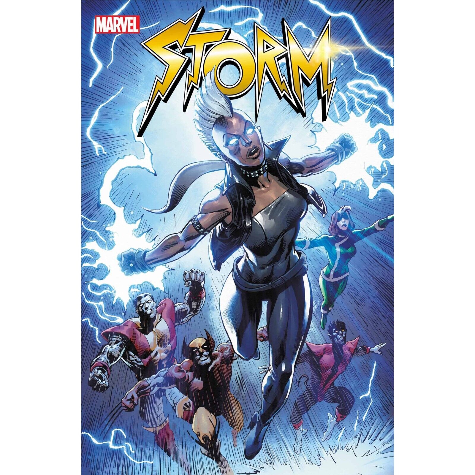 Storm (2023) 1 2 3 4 5 Variants | Marvel Comics | FULL RUN / COVER SELECT