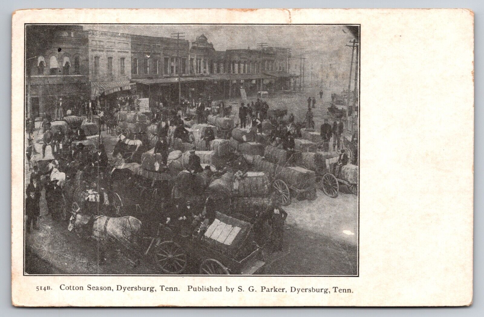 Cotton Season Dyersburg Tennessee TN Main Street Scene 1911 Postcard