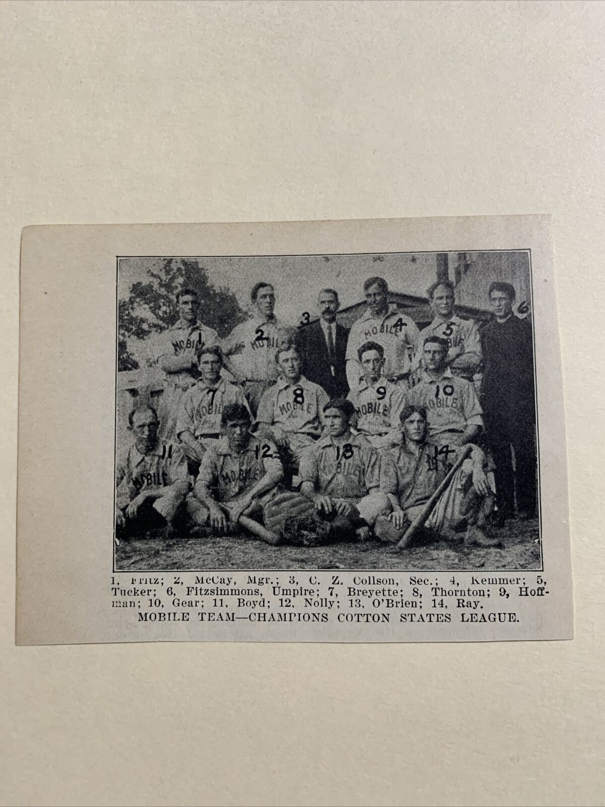Mobile Seagulls Cotton States Hoffman Kemmer 1907 Baseball Team Picture #2
