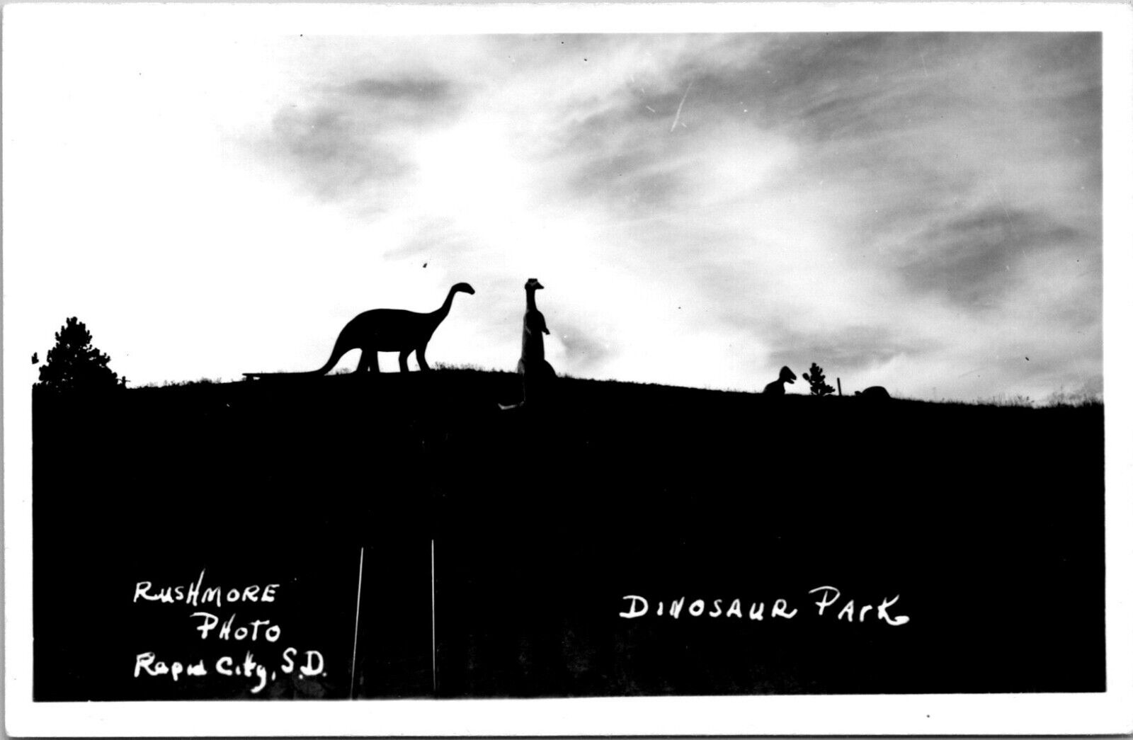 RPPC Rapid City SD Dinosaur Park Silhouettes 1930-1940s Rushmore postcard JP9