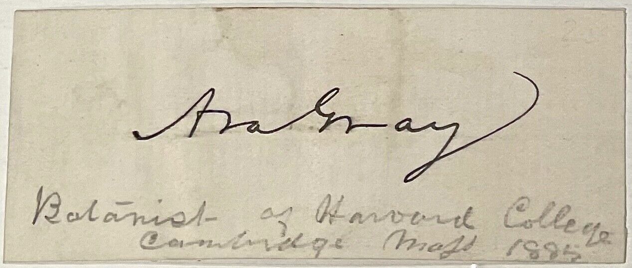 ASA GRAY Autographed Hand SIGNED CARD American Botanist Darwiniana Science RARE