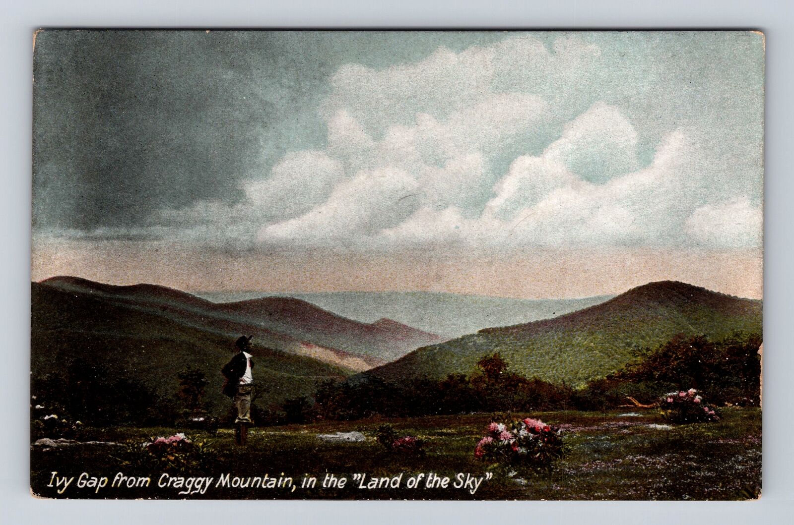 Ivy Gap NC-North Carolina, Scenic View From Craggy Mountain, Vintage Postcard