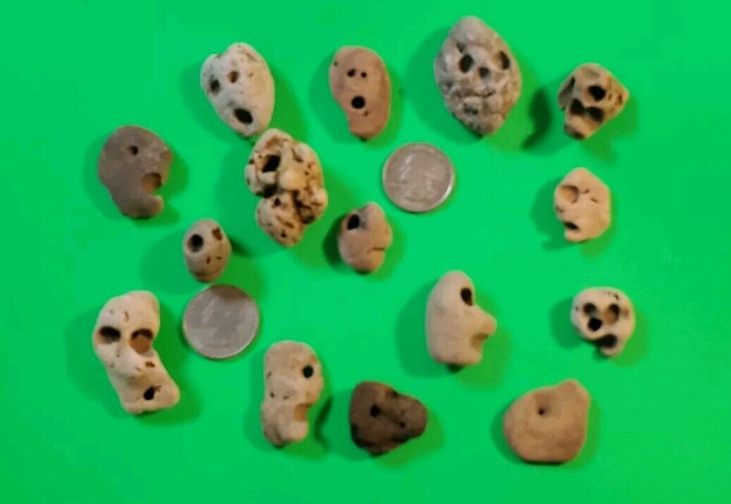 15 All NATURAL BEACH ROCKS/ STONES WITH FACES