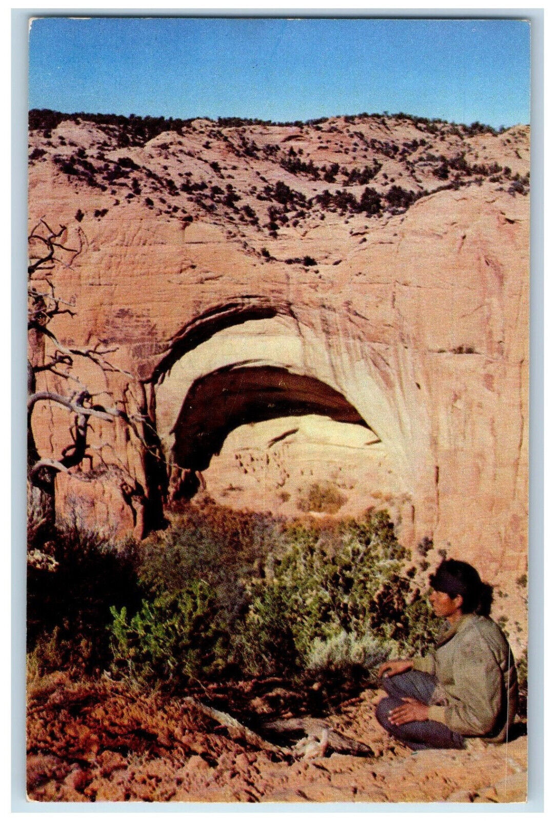 c1950's Ancient Apartment Dwellings, Betatakin Navajo National Monument Postcard