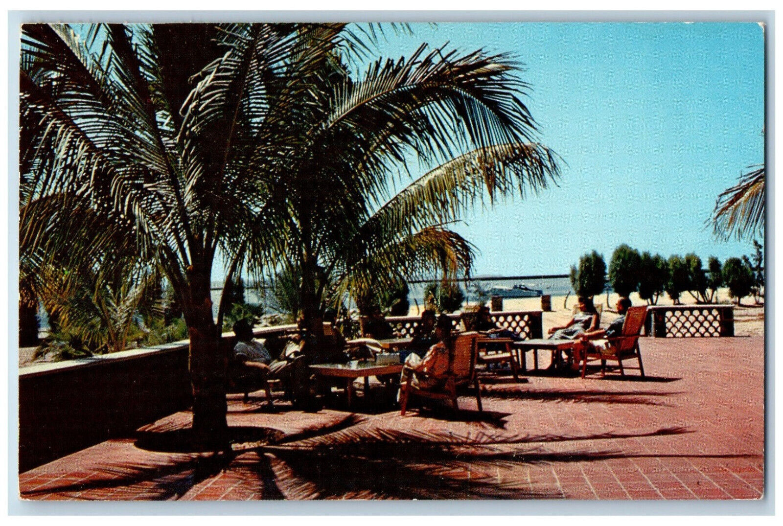 La Paz Baja California Mexico Postcard Hotel Los Cocos c1950's Vintage Posted