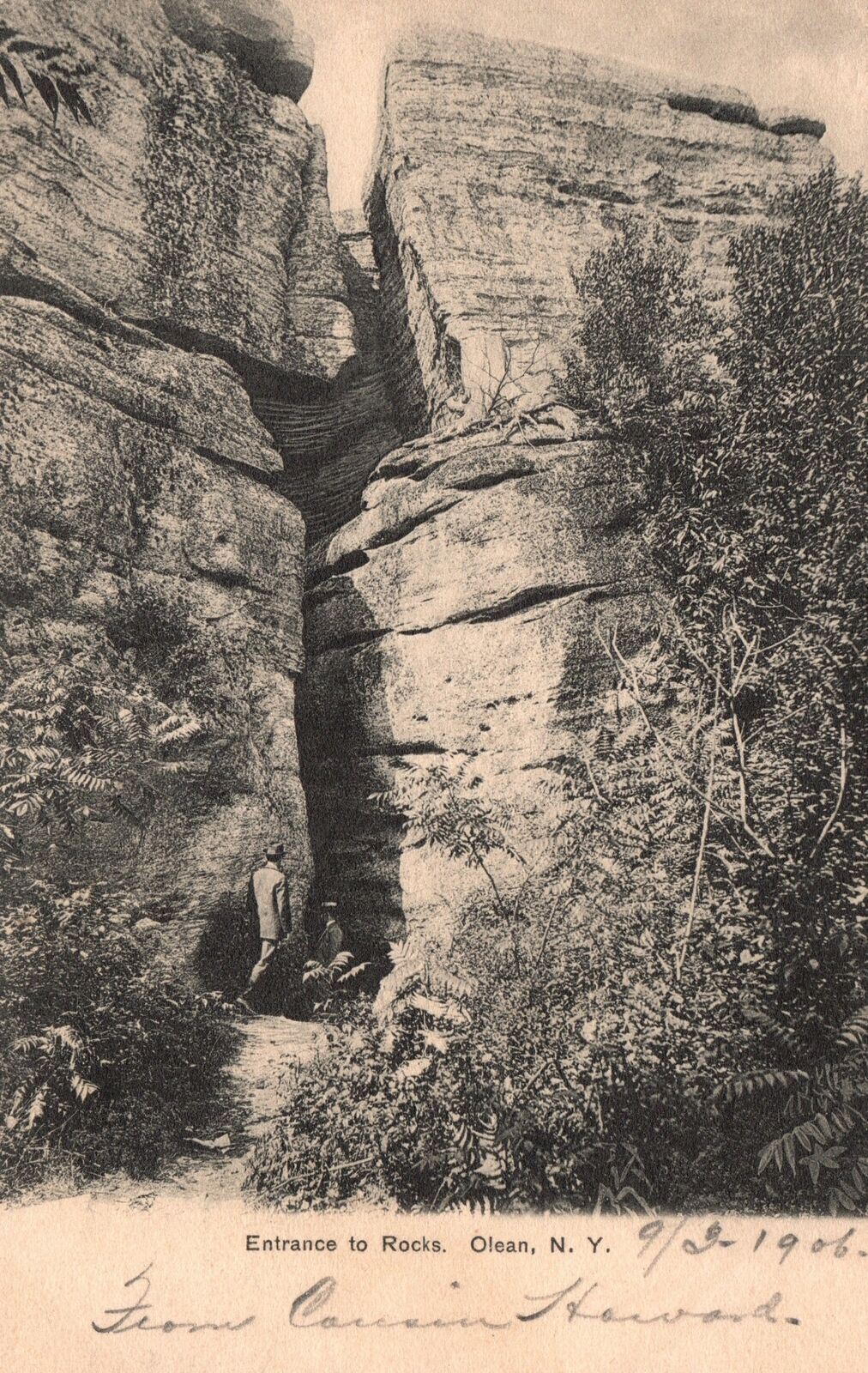 Vintage Postcard 1906 View of Entrance To Rocks Olean New York N. Y.