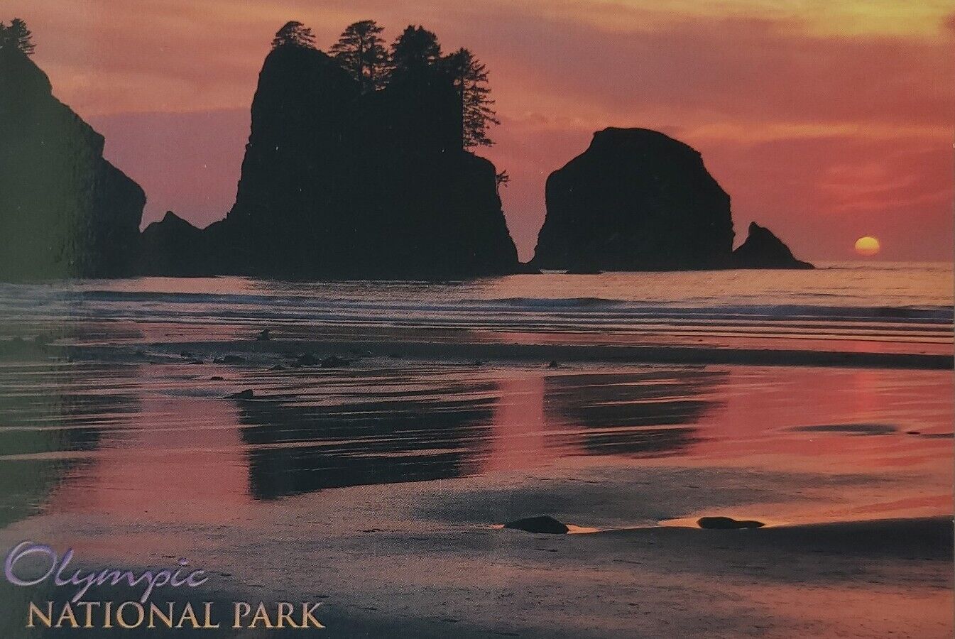 Sunset Point of Arches Olympic National Park Port Angeles WA Postcard