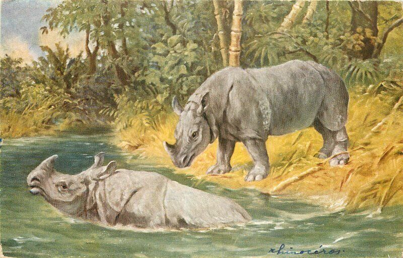 Africa Miler artist impression C-1910 Rhinoceros Postcard 20-9858