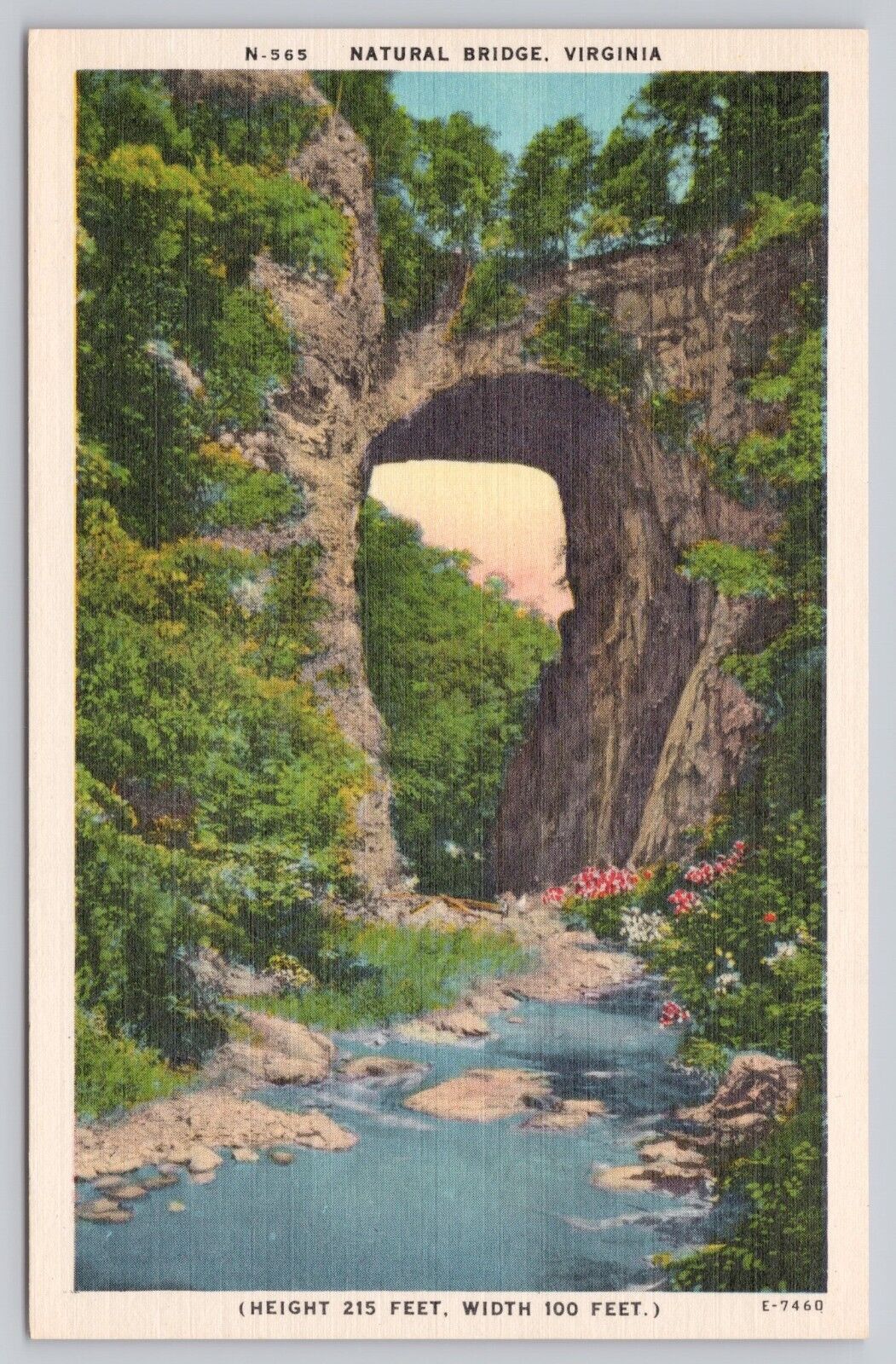 Natural Bridge Virginia, Natural Bridge Scenic View, Vintage Postcard