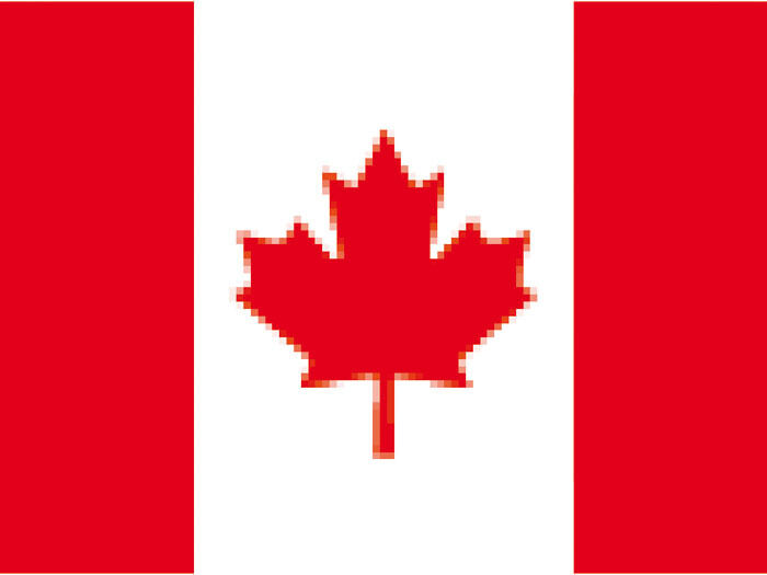Canada Flag Maple Leaf 35 3/8x59 1/8in Canadian Flag
