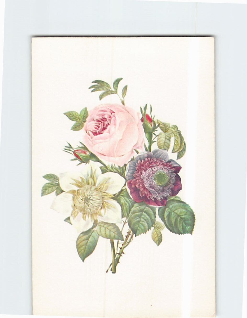 Postcard Anemone, Rose & Clematis Drawn by Pierre Joseph Redoute