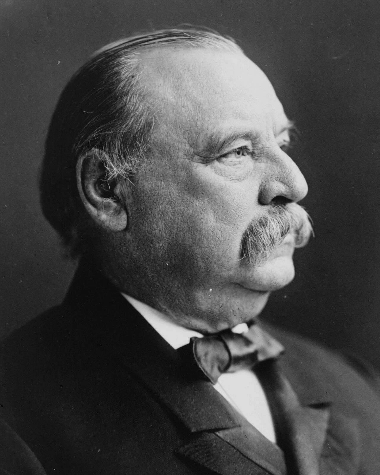 President Grover Cleveland U.S. 8 x 10 Photo Picture