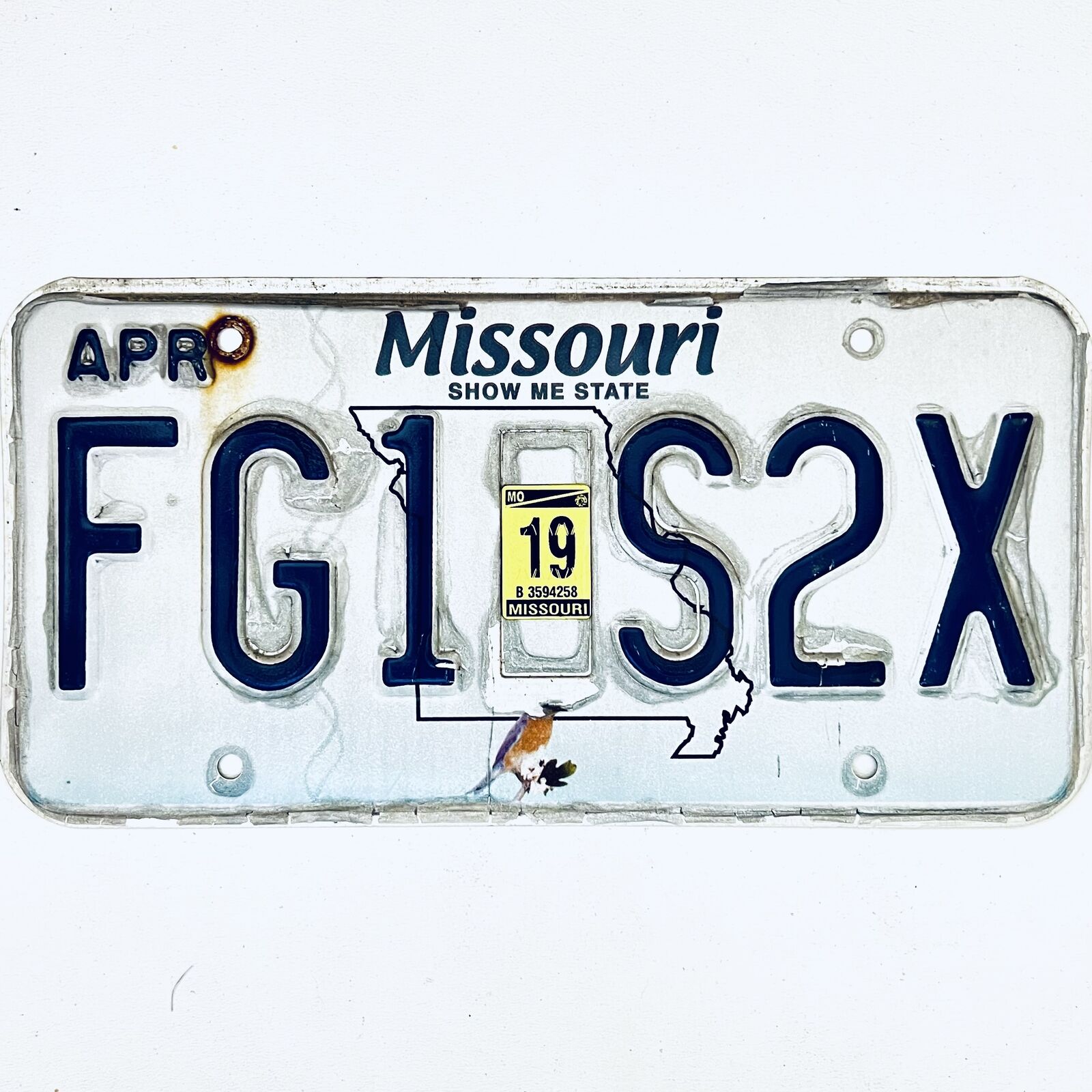 2019 United States Missouri Bluebird Passenger License Plate FG1 S2X