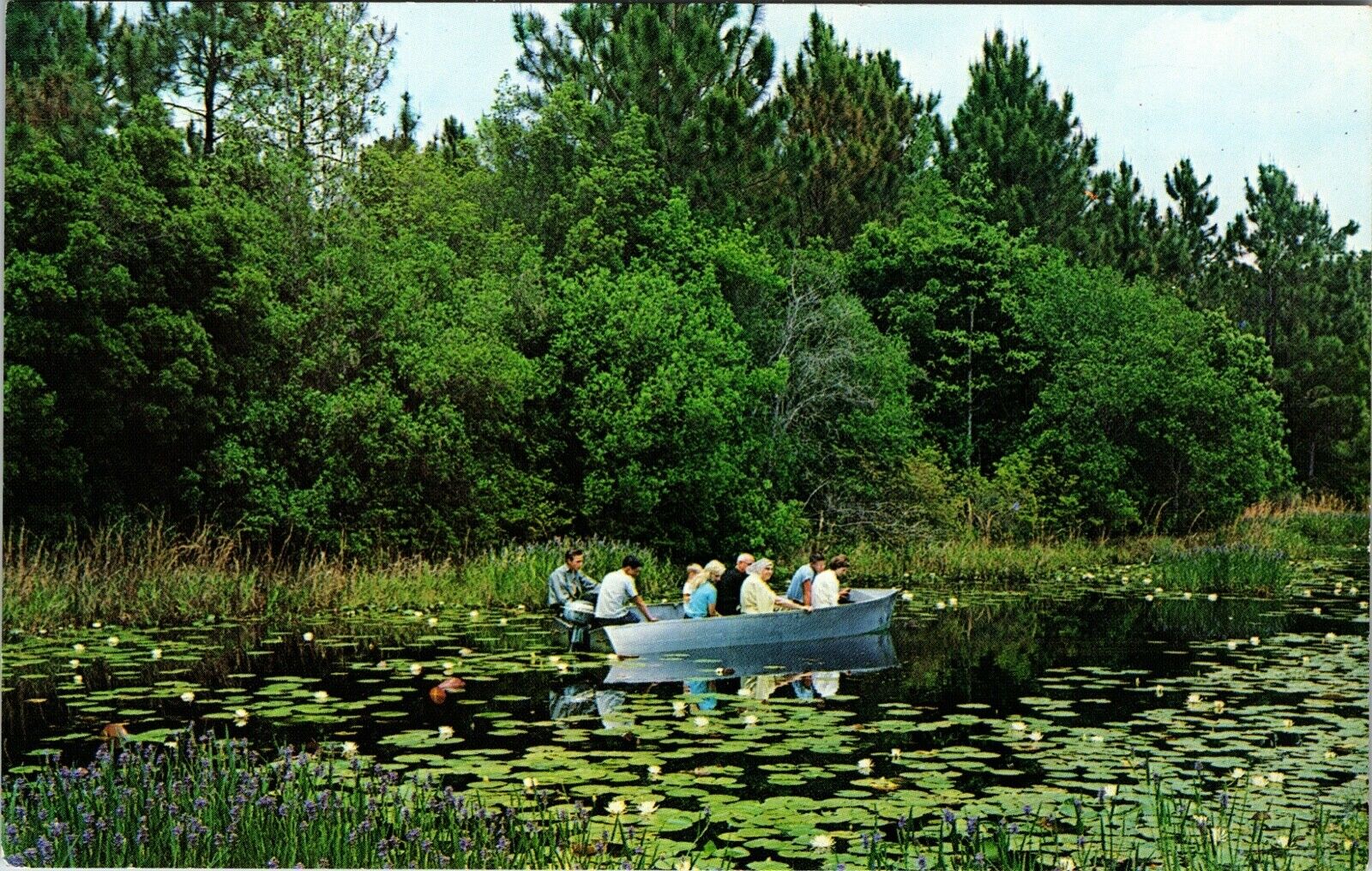 Okefenokee Swamp Park Waycross Georgia Group Boat Cruise Vintage Postcard 