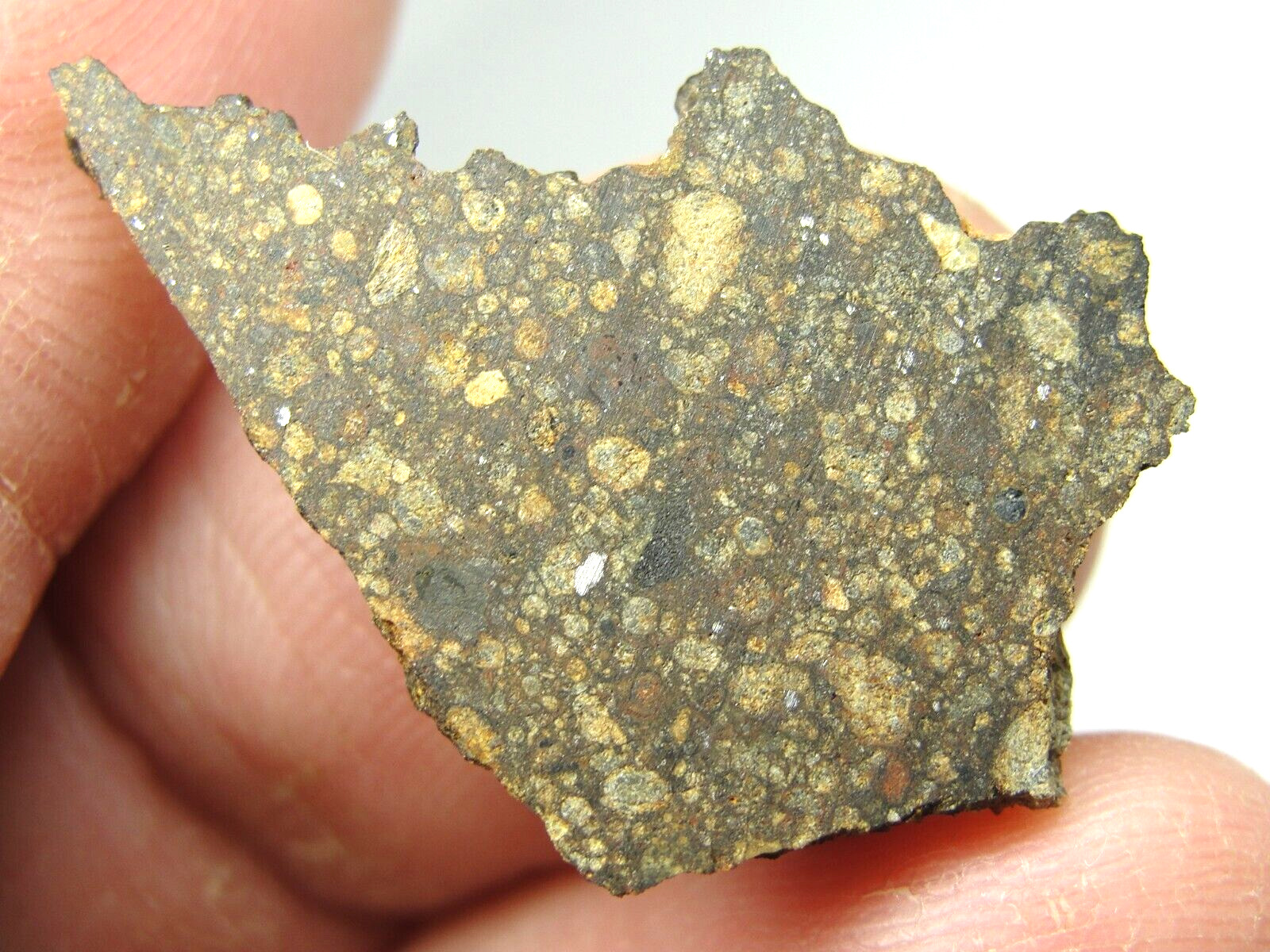 NWA 10214 Official Meteorite - LL3-S2 - G596-0031 - 2.30g THE CHIMERIC CHONDRITE