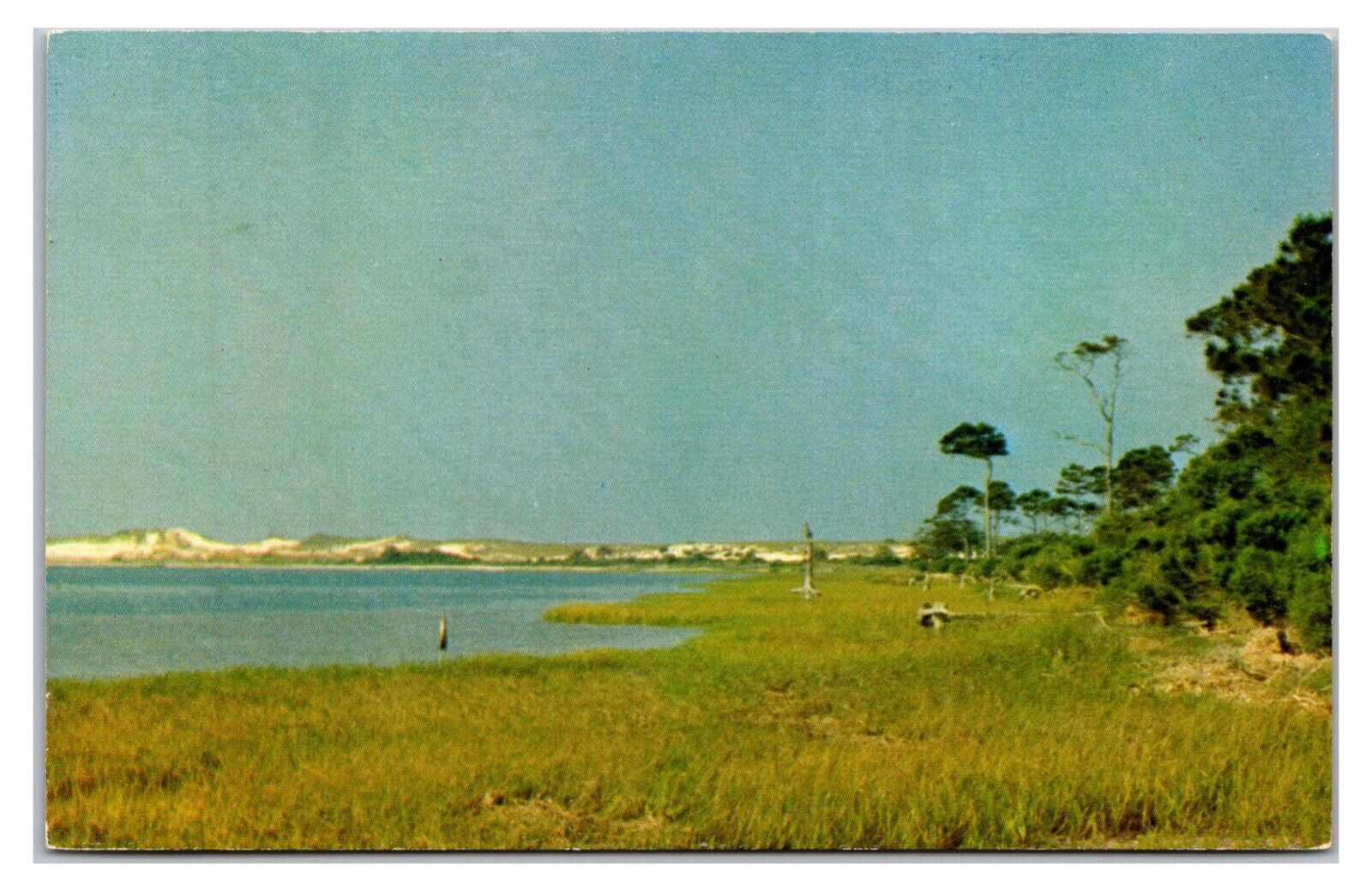 Vintage 1950s- St. Josephs State Park- Port St. Joe, Florida Postcard (UnPosted)
