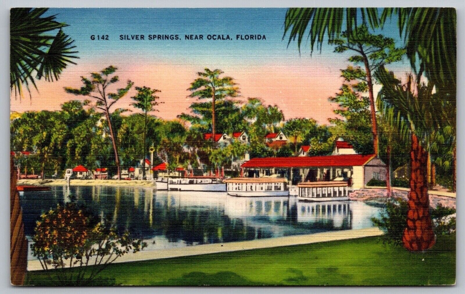 Near Ocala Florida Fl Silver Springs Linen Hartman Card Co Unp Postcard