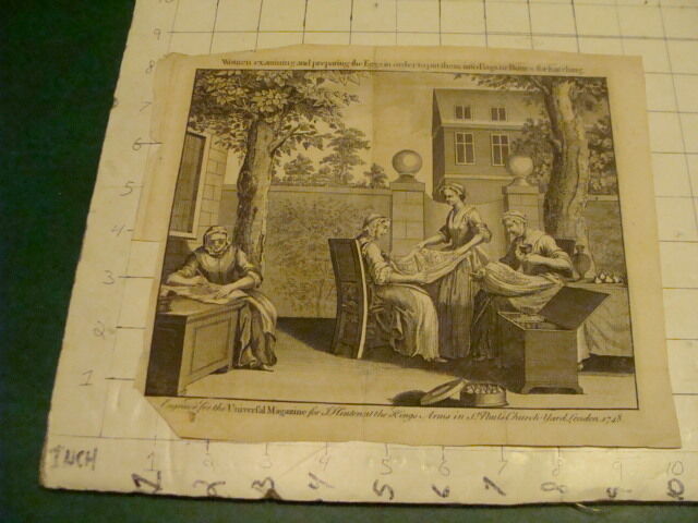 Original Engraving:1700's or 1800's - WOMEN examining tiny eggs for hatching
