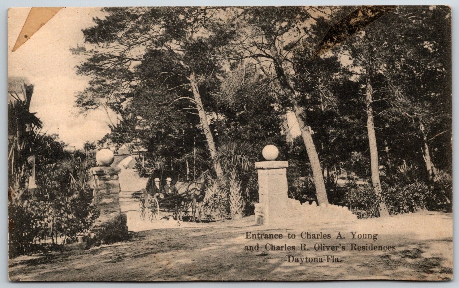 Charles A Young, Charles R. Oliver Residence, Daytona, Florida - Postcard