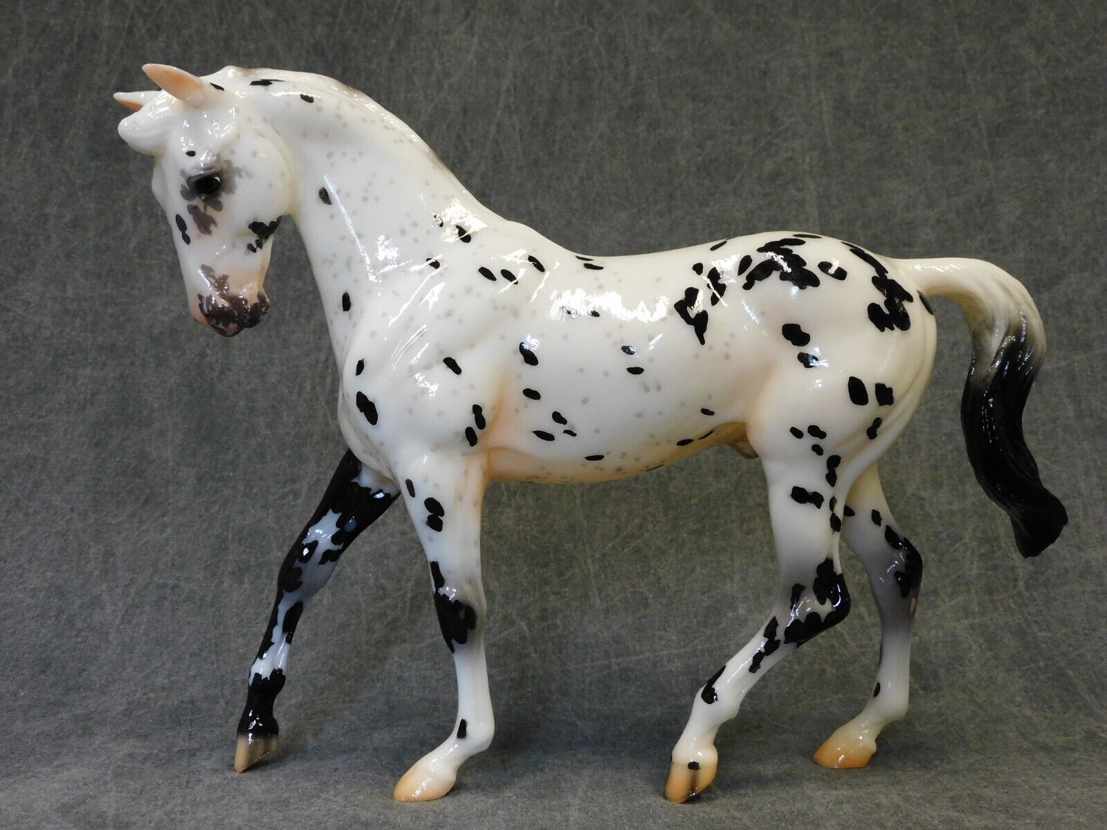Breyer * Brahms * Breyerfest Glossy Appaloosa Big Ben Traditional Model Horse