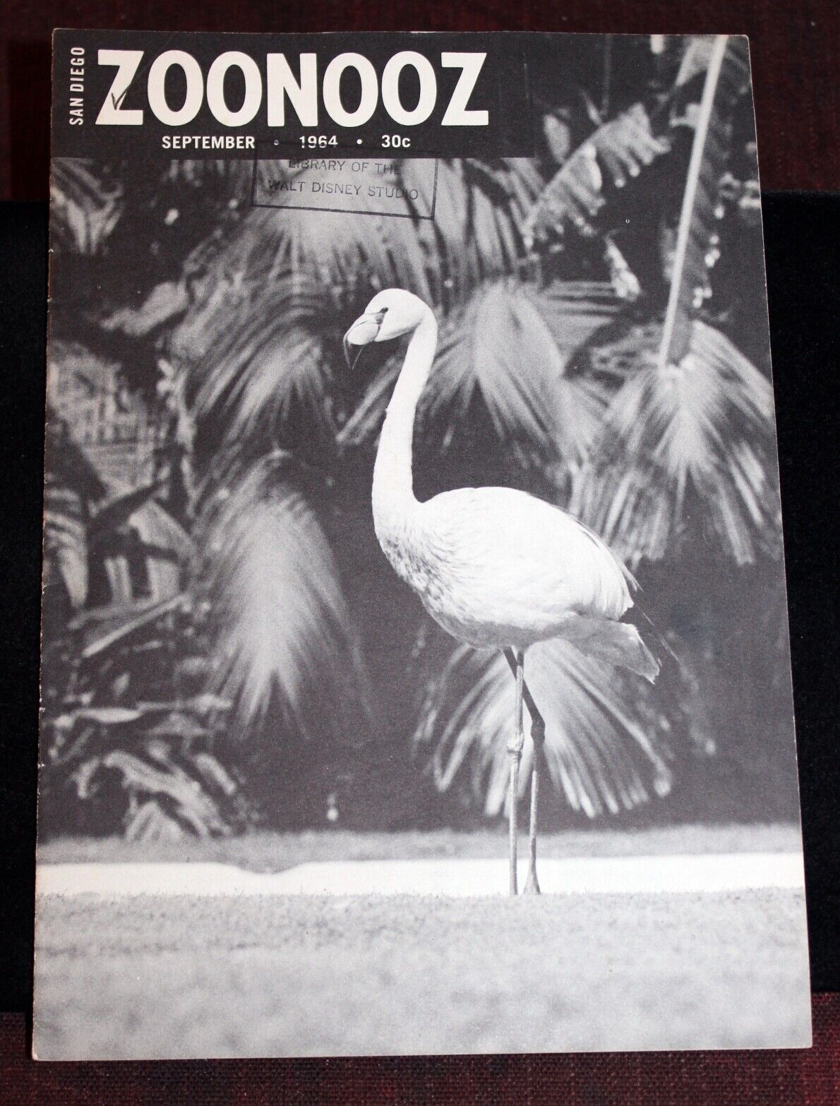 Walt Disney Studio Research Library 1964 JOE HALE Vintage ZooNooz Flamingo Zoo
