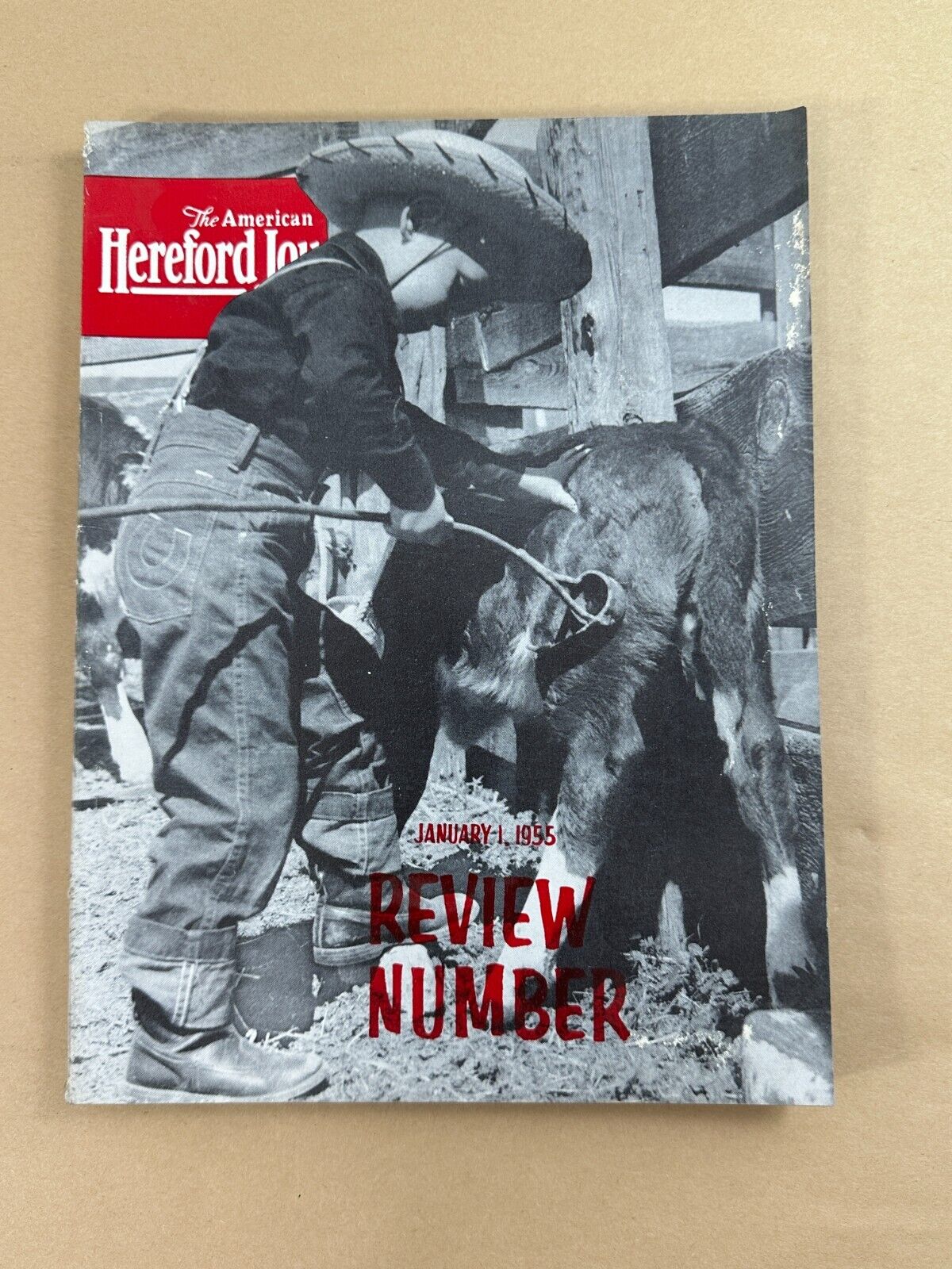 January 1, 1955 REVIEW NUMBER - American Hereford Journal magazine - photos ads+