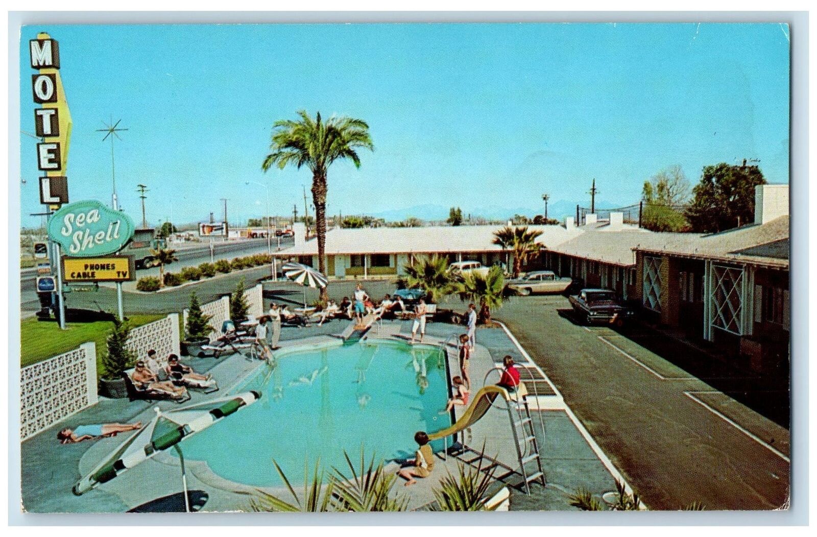 c1960s Sea Shell Motel Swimming Pool Blythe California CA Unposted Tree Postcard