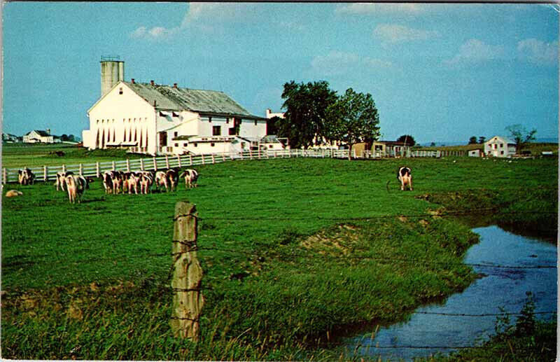 Postcard FARM SCENE Dutch Country Pennsylvania PA AK1745