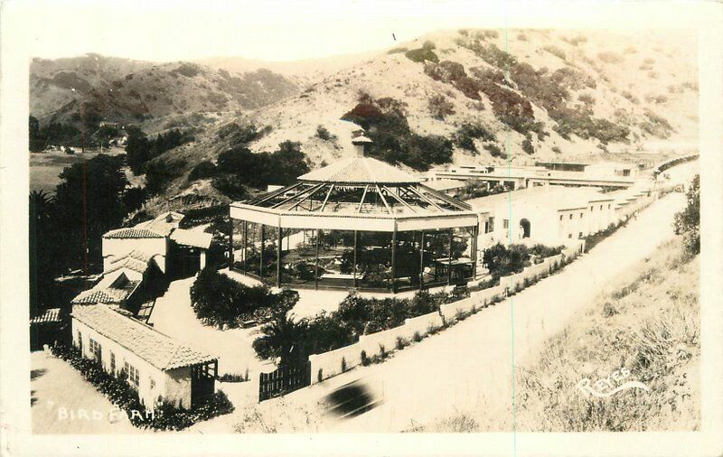 Bird Farm Catalina California 1920s RPPC Photo Postcard 11955