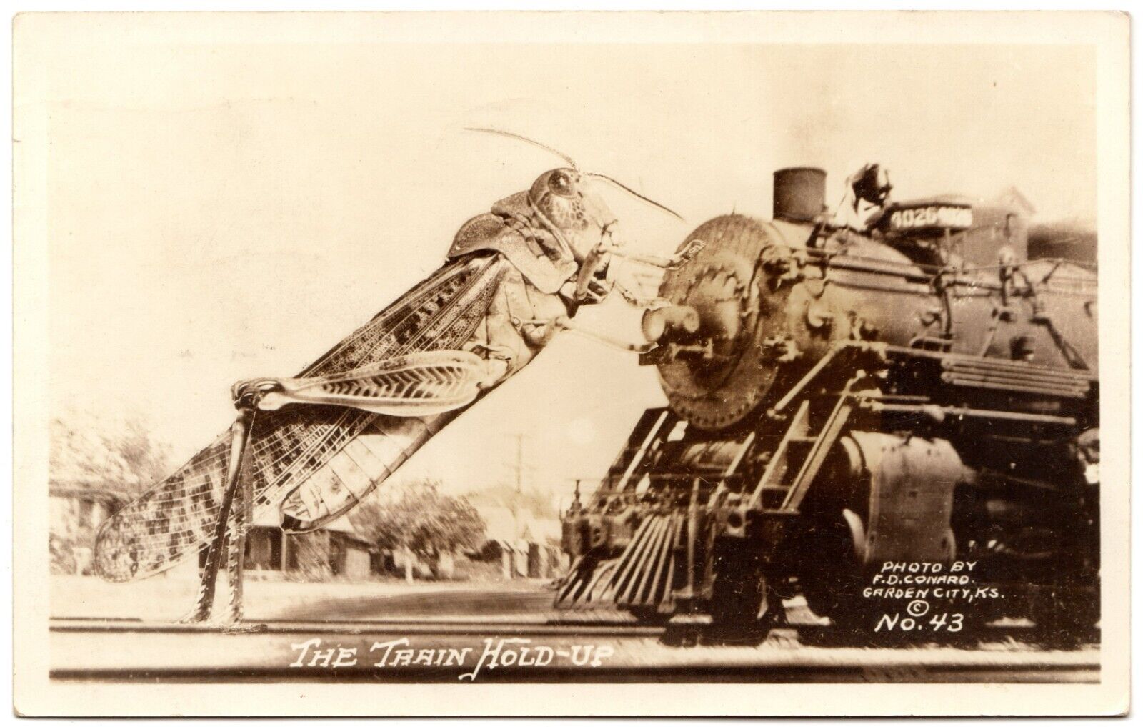 F D CONRAD Exaggeration RPPC Train Hold Up Grasshopper Real Photo Postcard 1930s