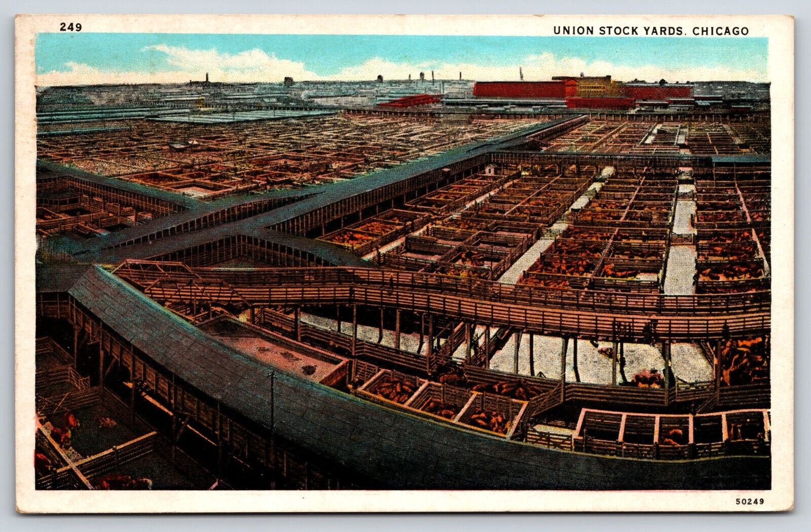 Chicago IL-Illinois, Union Stock Yards, Antique Vintage 1931 Postcard