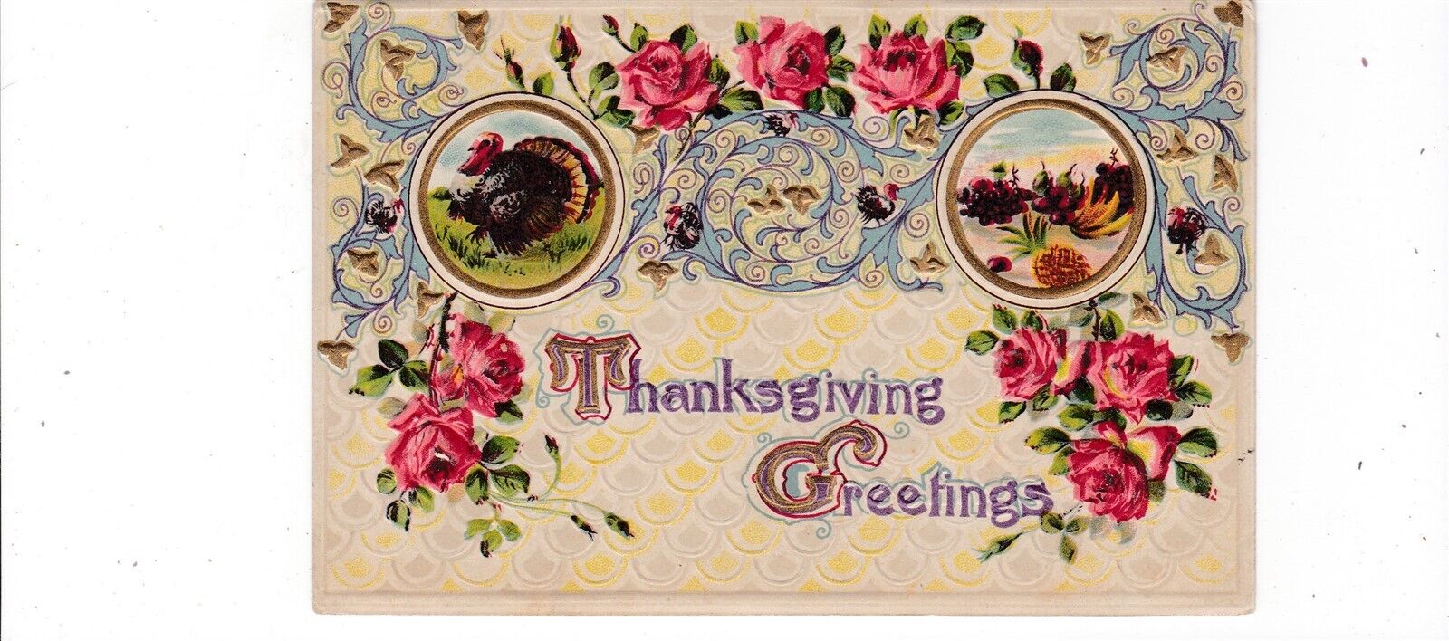 Thanksgiving Greetings antique postcard / turkey roses scrolls series 2374