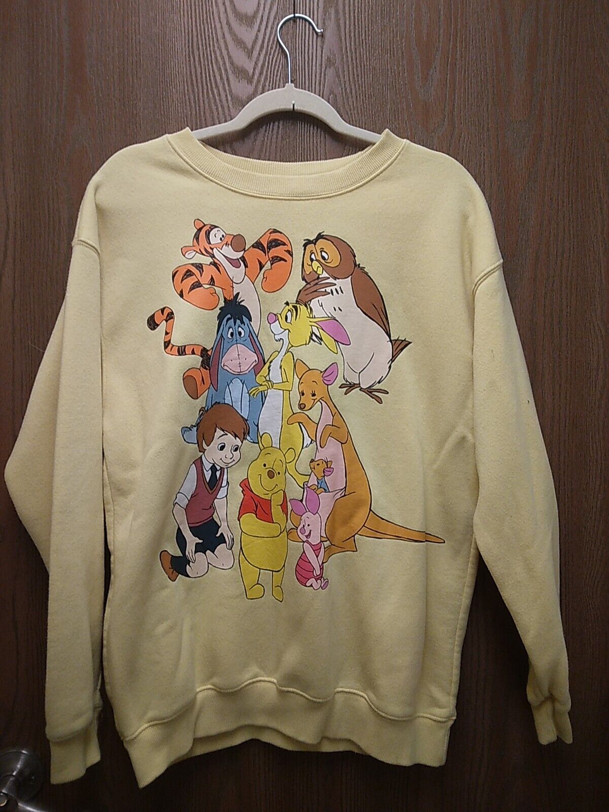 Disney Winnie The Pooh And Gang Pullover Sweatshirt Womens Size Large Oversized
